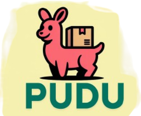 PUDU STORE